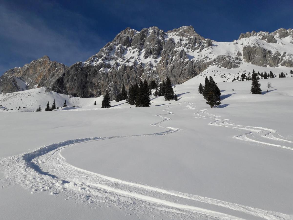 Appartement Gipfelblick- Tiroler Zugspitze Arena In Biberwier Dış mekan fotoğraf